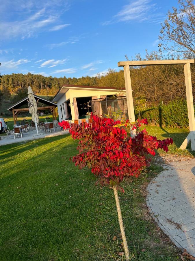 Pensiunea Baroc Dobirlau Exteriör bild