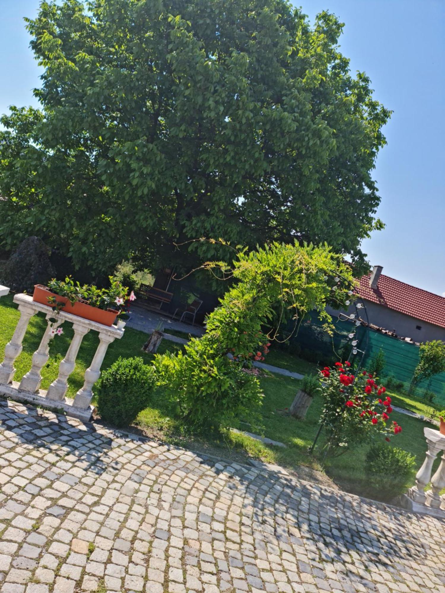 Pensiunea Baroc Dobirlau Exteriör bild